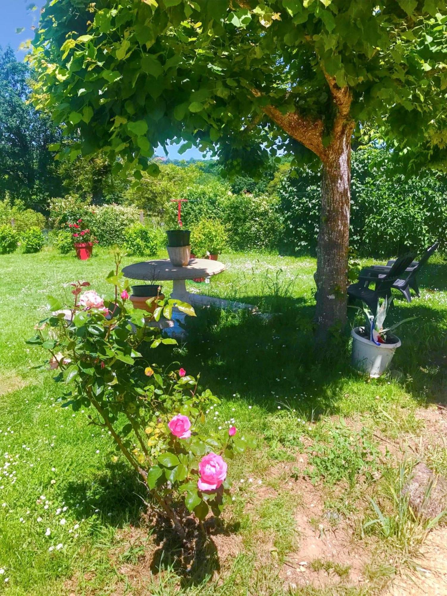 Appartement Charmant A Toulonjac Avec Jardin Et Terrasse 110 M² Εξωτερικό φωτογραφία