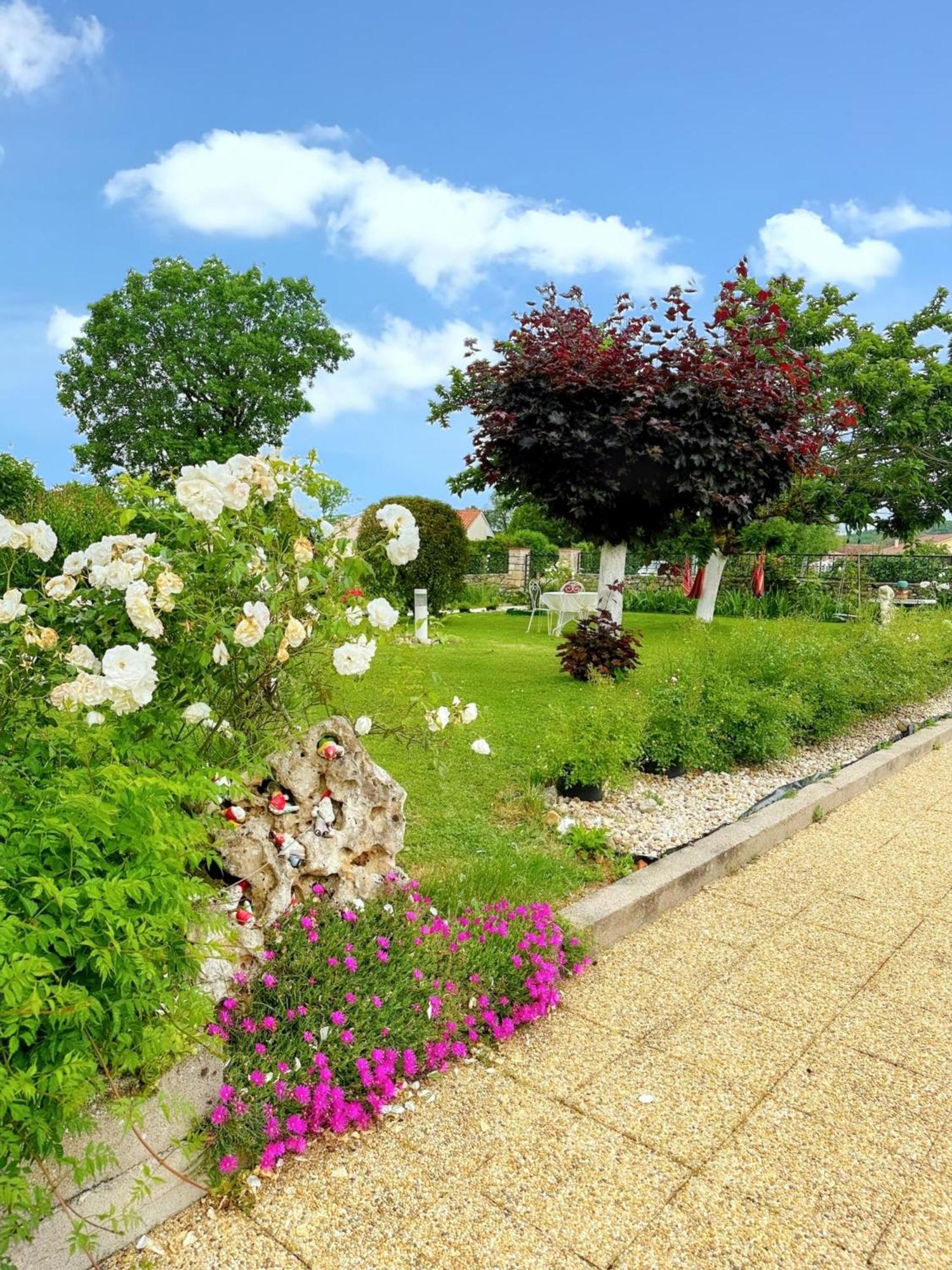 Appartement Charmant A Toulonjac Avec Jardin Et Terrasse 110 M² Εξωτερικό φωτογραφία